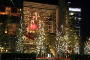 free-photo-xmas-illumination-marunouchi