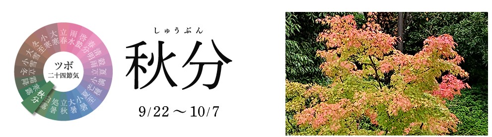 スクリーンショット 2020-09-25 103613