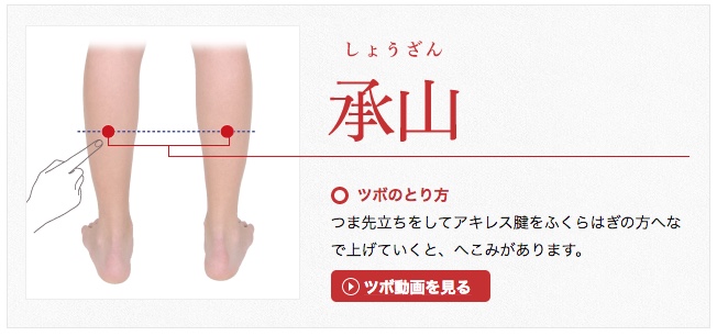 腎機能を高める 体をポカポカと温めるツボ 事務局ブログ 森からの便り