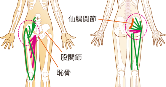 左 の 骨盤 が 痛い