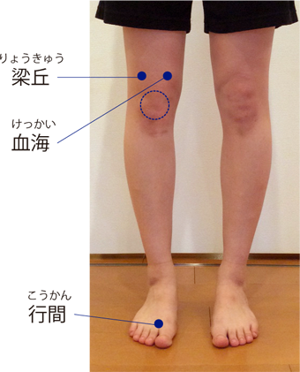 股関節の痛みがあり 右足を開くことができません ネットブログ健康相談会 1 事務局ブログ 森からの便り