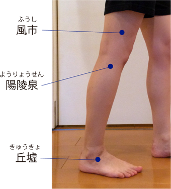 股関節の痛みがあり 右足を開くことができません ネットブログ健康相談会 1 事務局ブログ 森からの便り