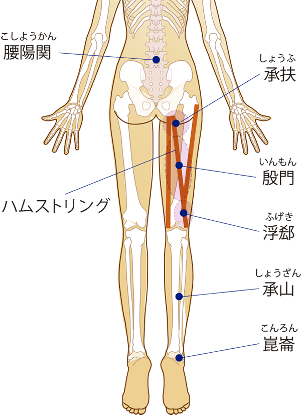 腰痛 腰 お尻 背中の張り に効果がある 一人でできる方法を教えていただけないでしょうか ネットブログ健康相談会 7 事務局ブログ 森からの便り