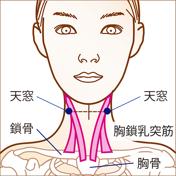 歯の食いしばり 歯ぎしり 顎 あご の痛み を緩和したいです ネットブログ健康相談会 10 事務局ブログ 森からの便り